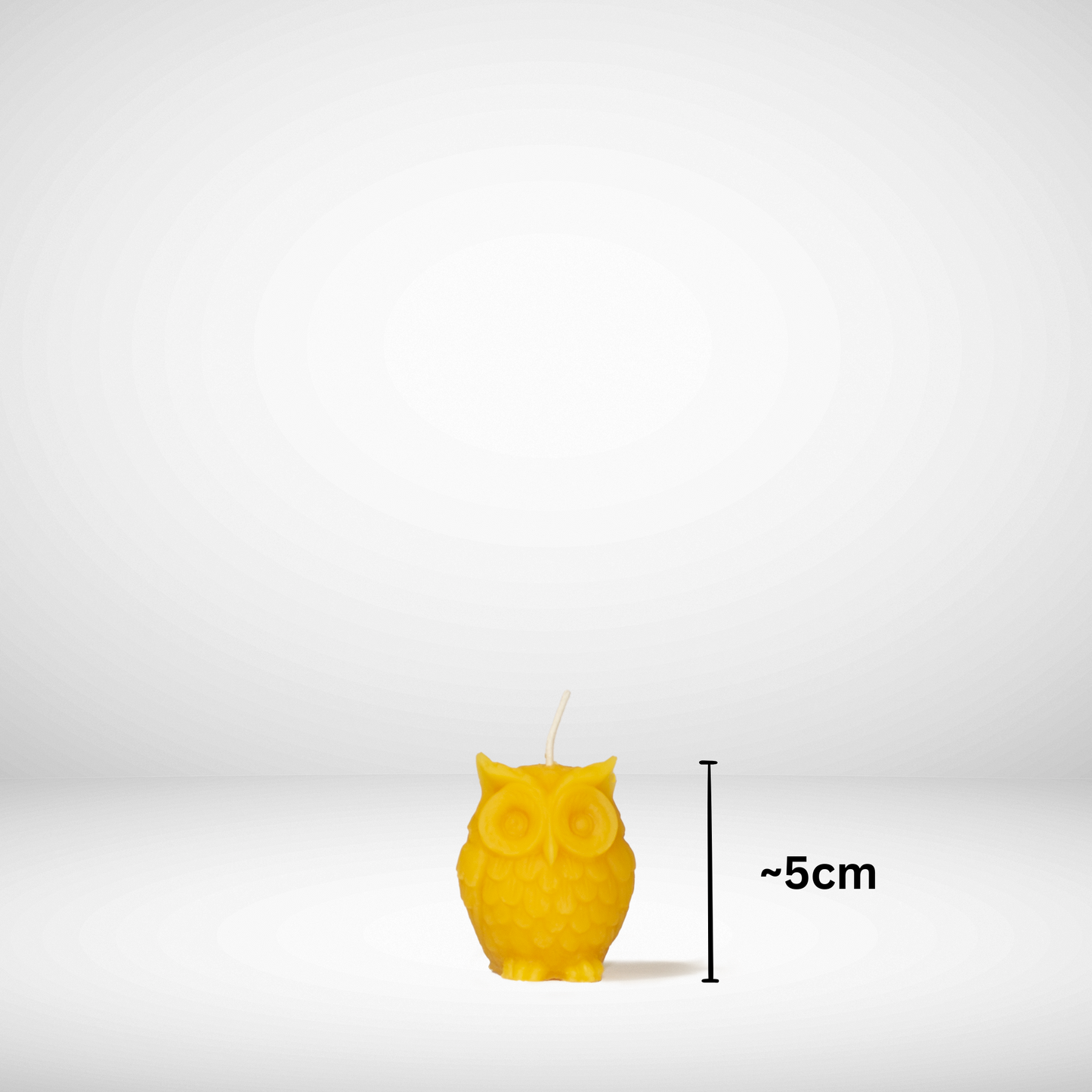beeswax prairie owl candle with dimensions