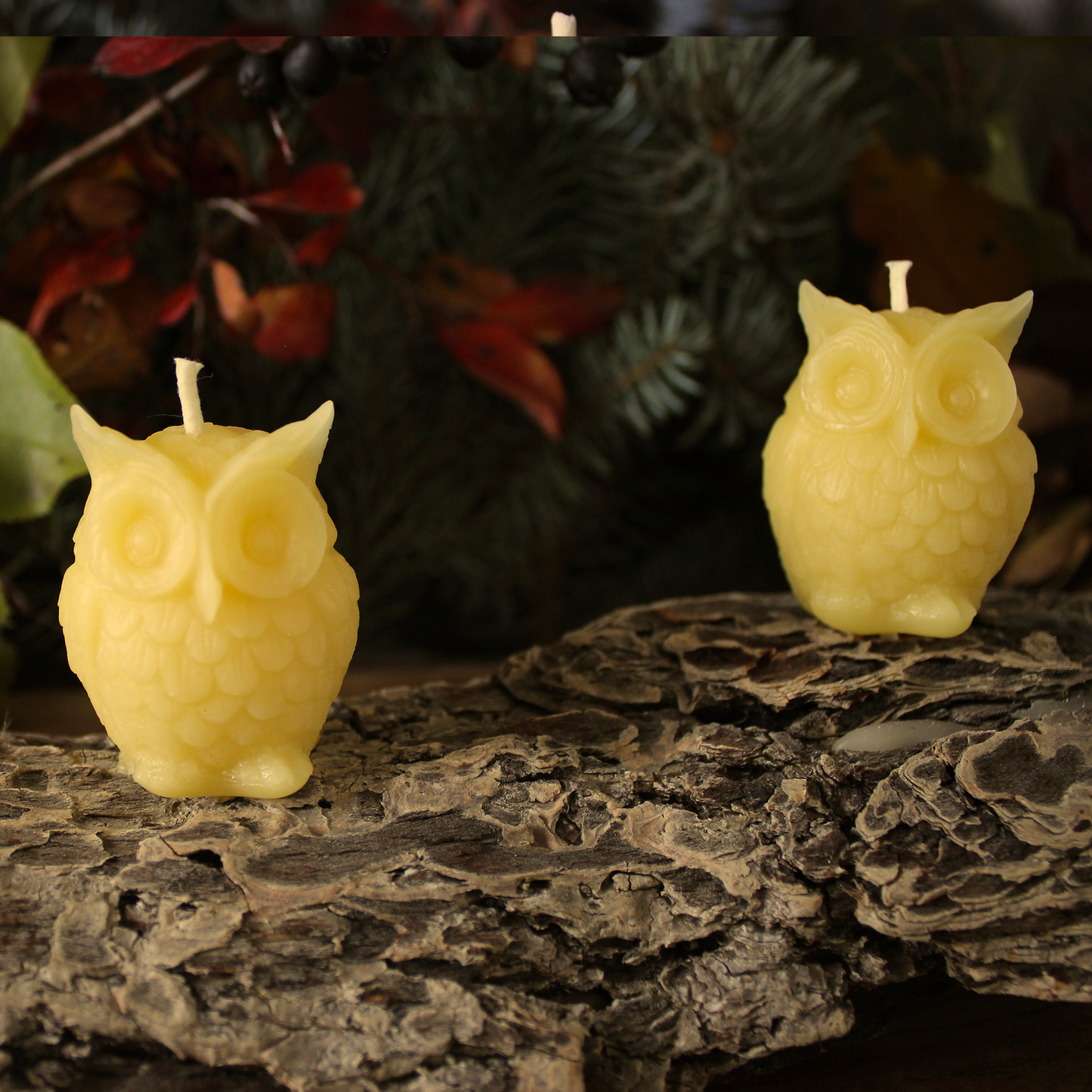 Two owl-shaped beeswax candles on a textured surface with a blurred natural background