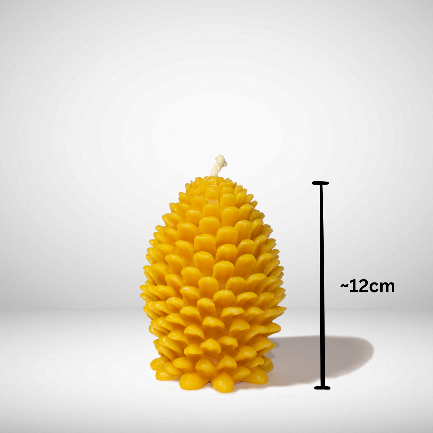 Beeswax Pinecone candle jumbo with dimensions