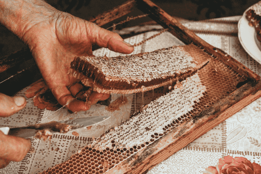What is Beeswax? A Complete Guide to This Natural Wonder