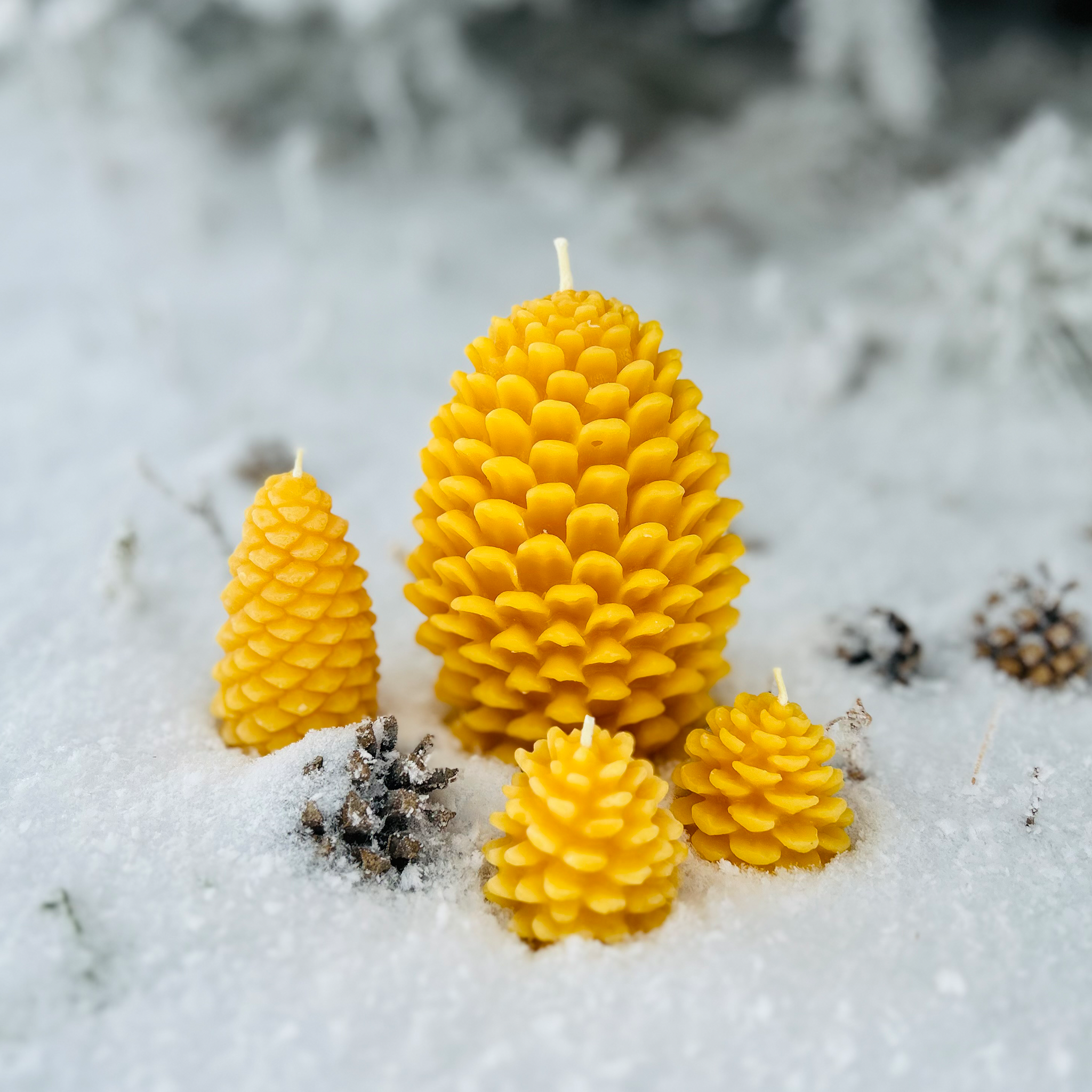 Three yellow pine cone-shaped beeswax candles on a snowy background