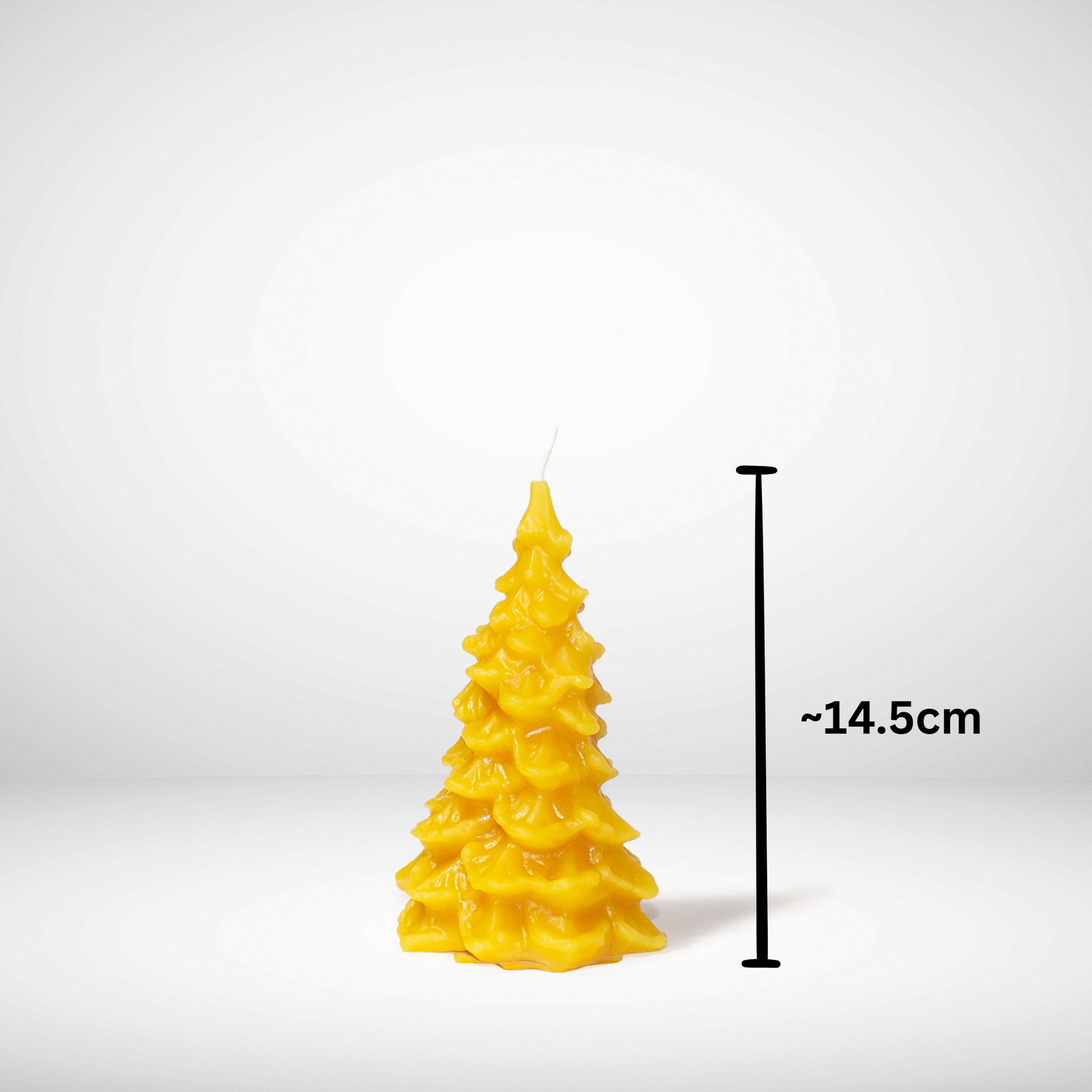 Beeswax Tree candle set large