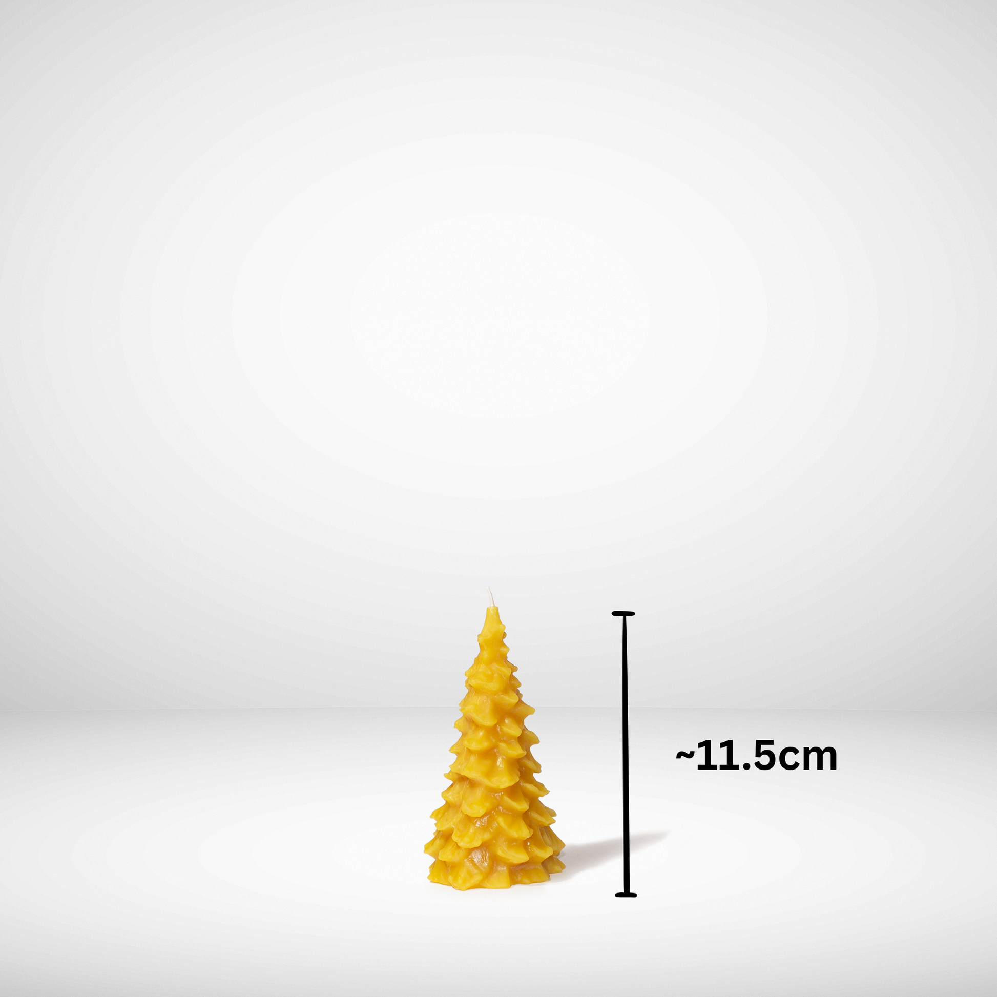 Beeswax Family Tree-O Candle Set medium sized Tree candle with dimensions