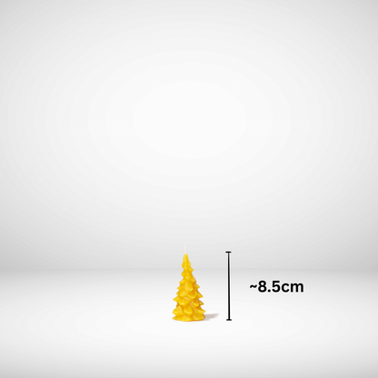 Beeswax Family Tree-O Candle set sized small with dimensions