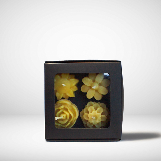 Black box with four yellow flower-shaped candles on a white background