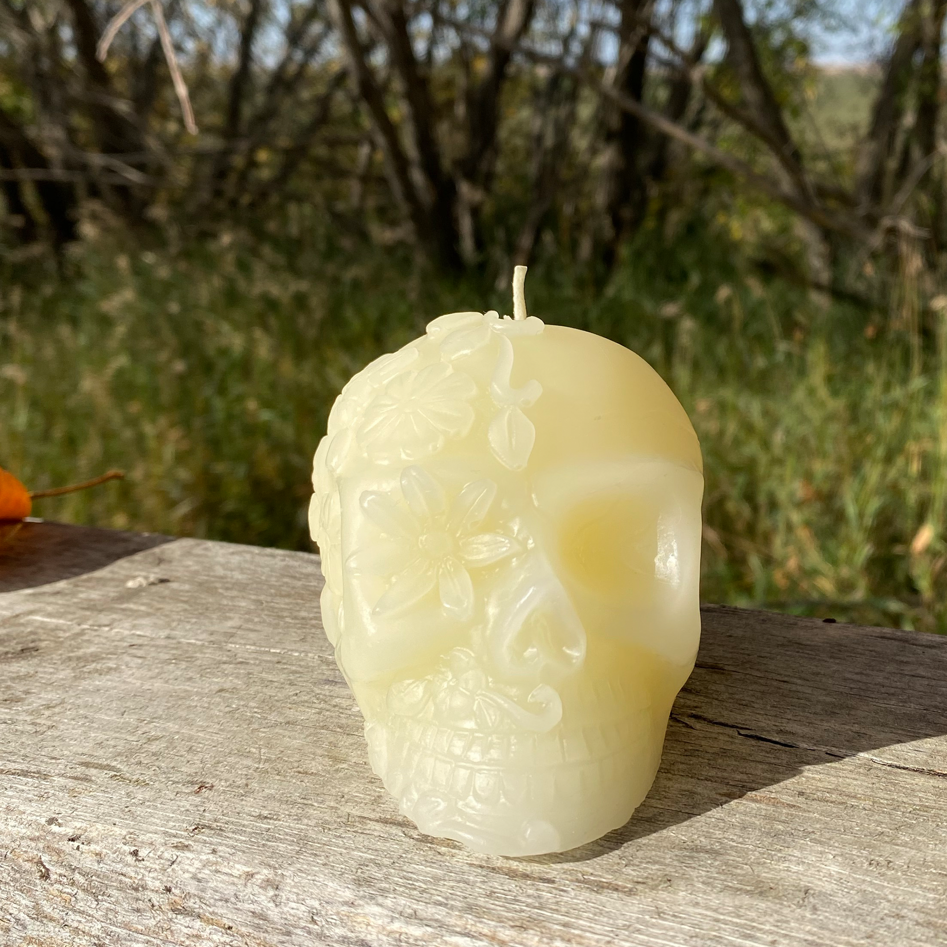 Beeswax candle shaped like a skull on a wooden surface with a natural background