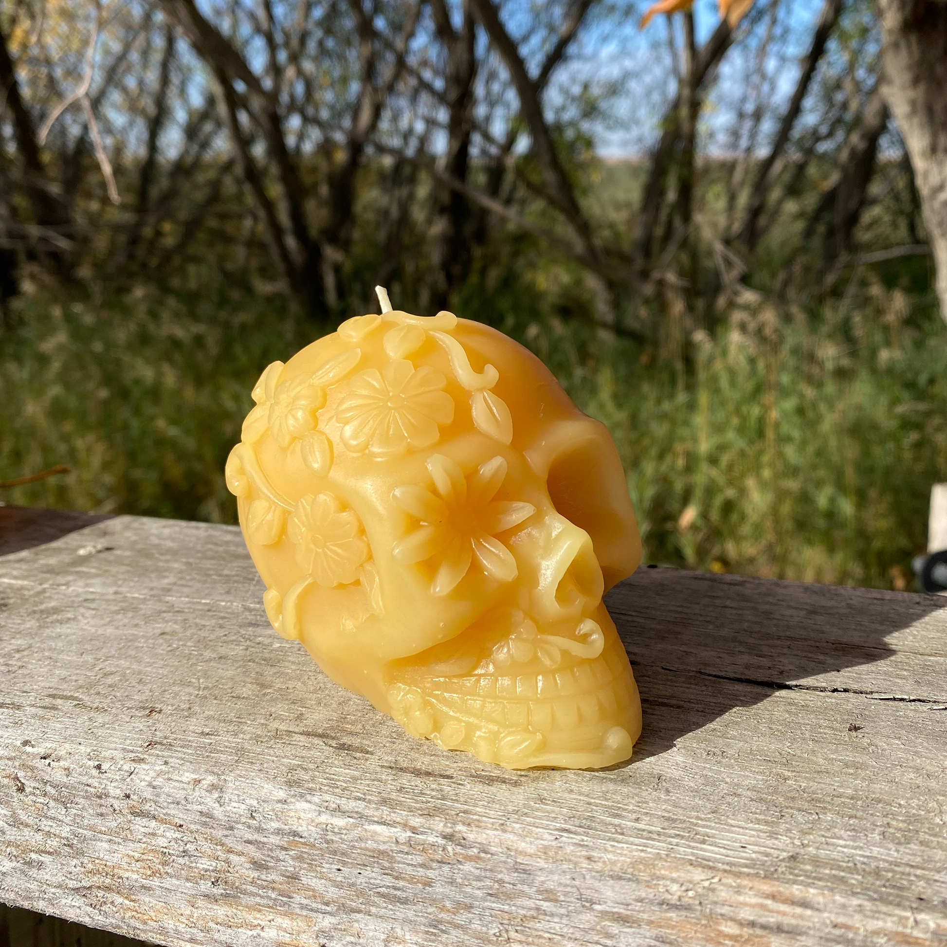 Beeswax skull candle with floral designs on a wooden surface outdoors