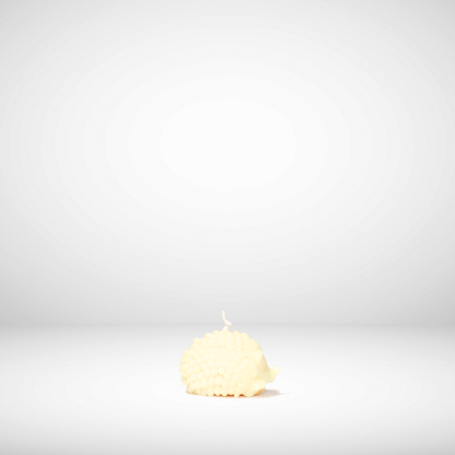 Single beeswax candle on a white background
