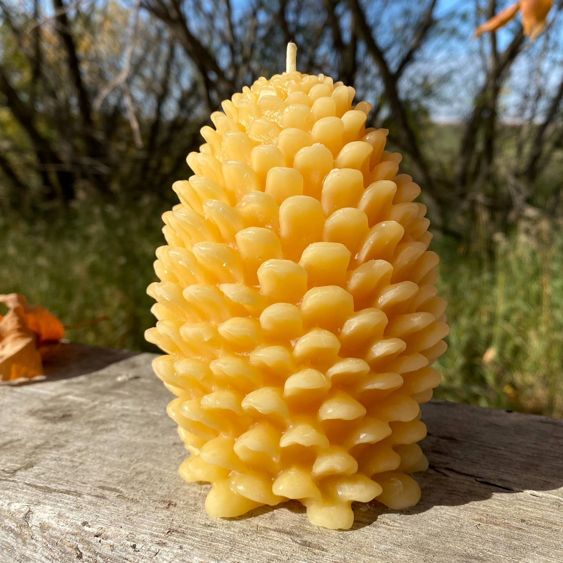 Beeswax candle shaped like a pine cone on a wooden surface with a natural background.