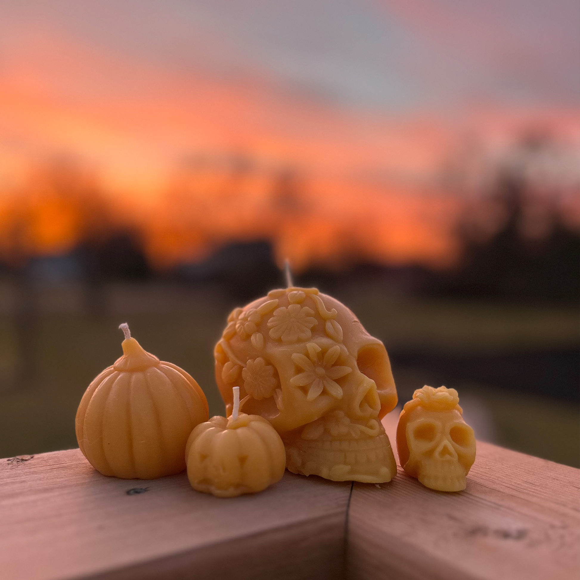 Decorative beeswax candles shaped like a skull, pumpkin, and skull with flowers against a sunset sky.
