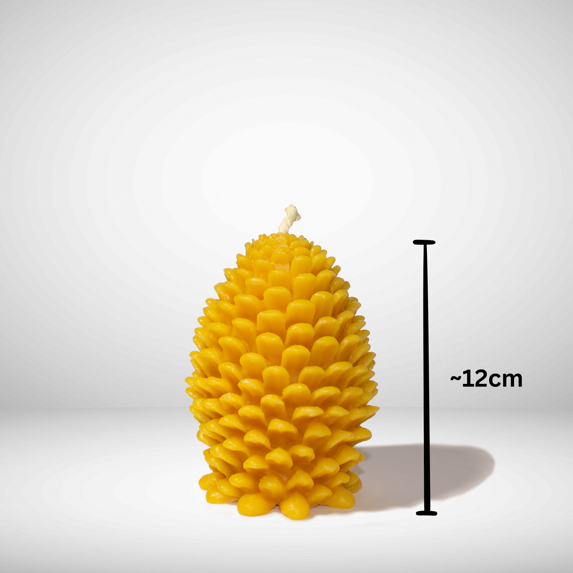 Beeswax Pinecone candle jumbo with dimensions