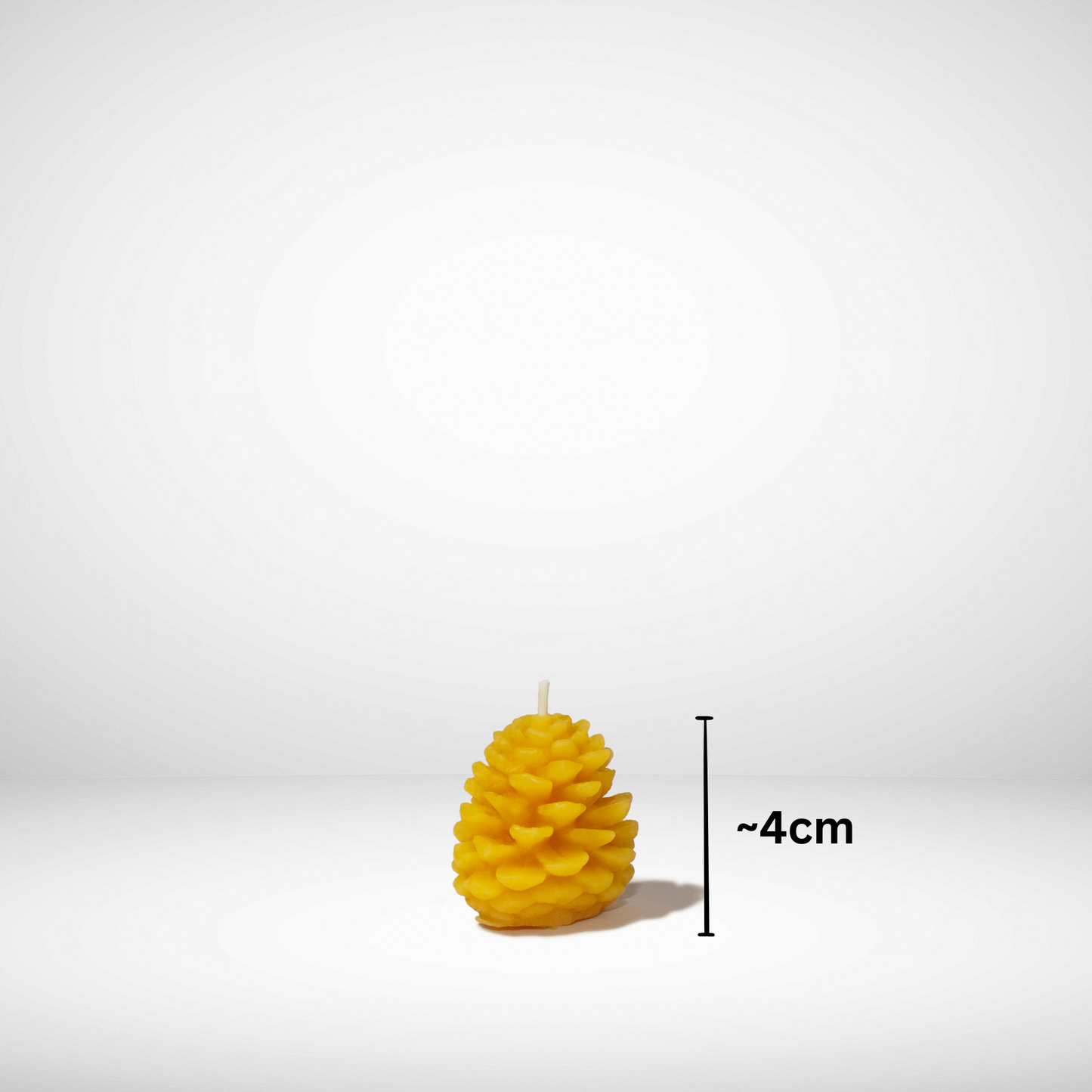 beeswax pinecone candle round with dimensions