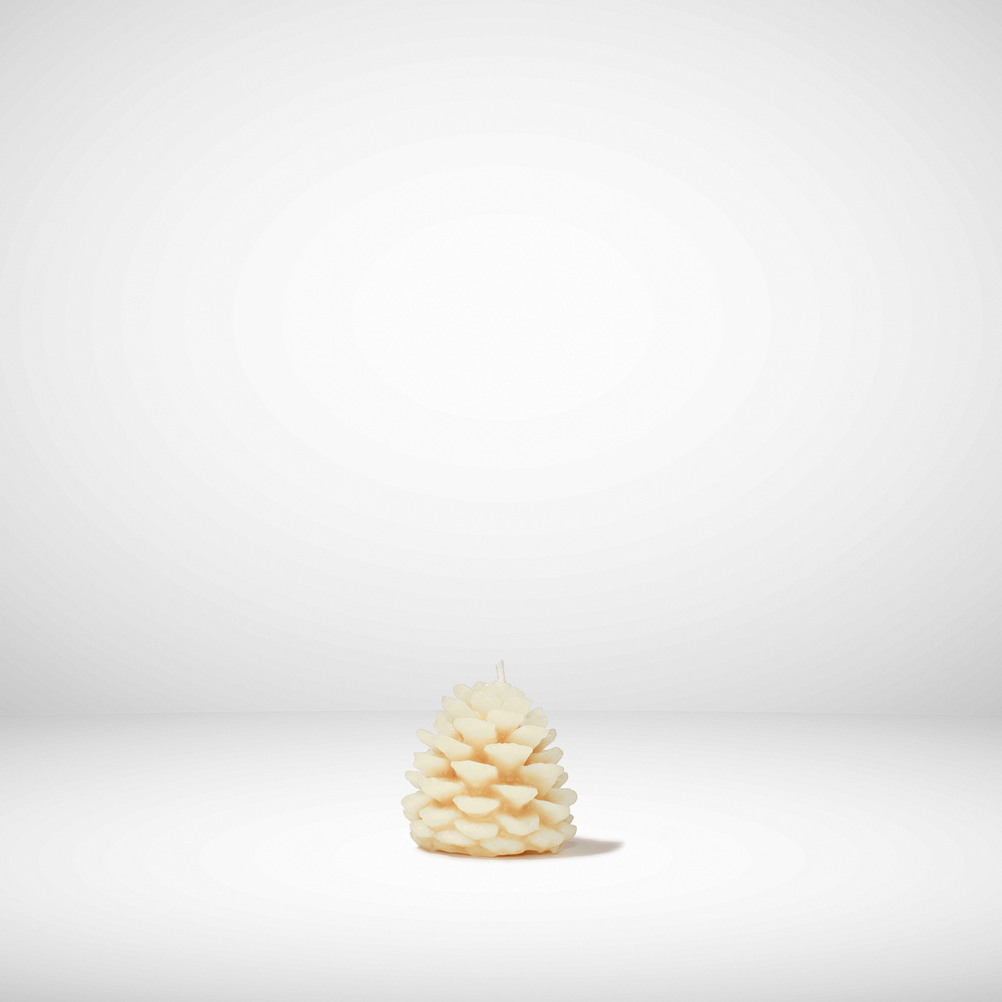 White pine cone-shaped beeswax candle on a white background