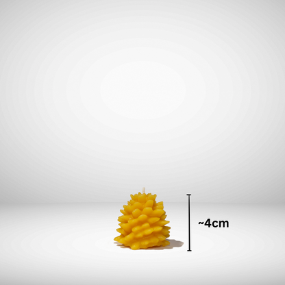 pinecone beeswax candle small with dimensions