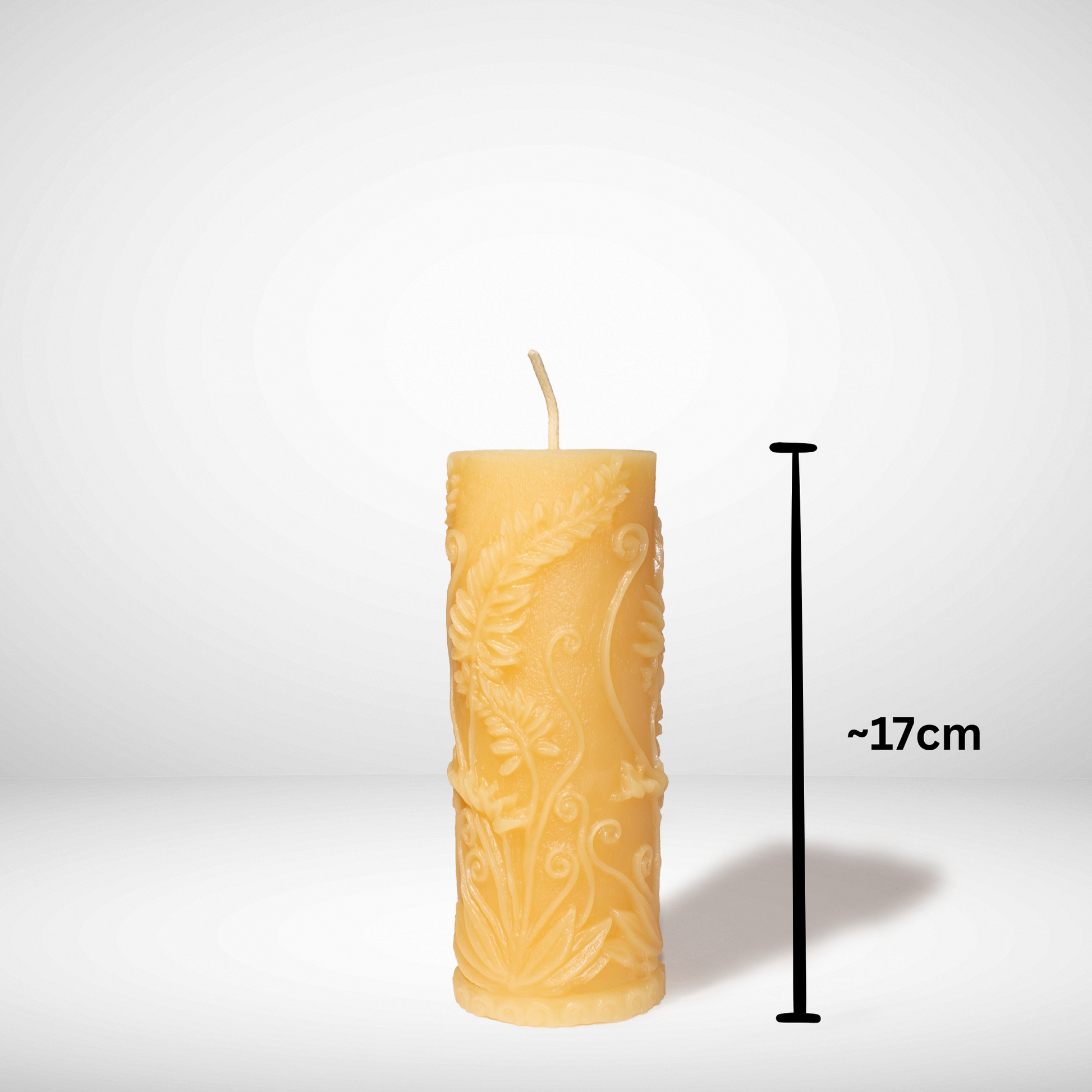 Beeswax Fern Candle with dimensions