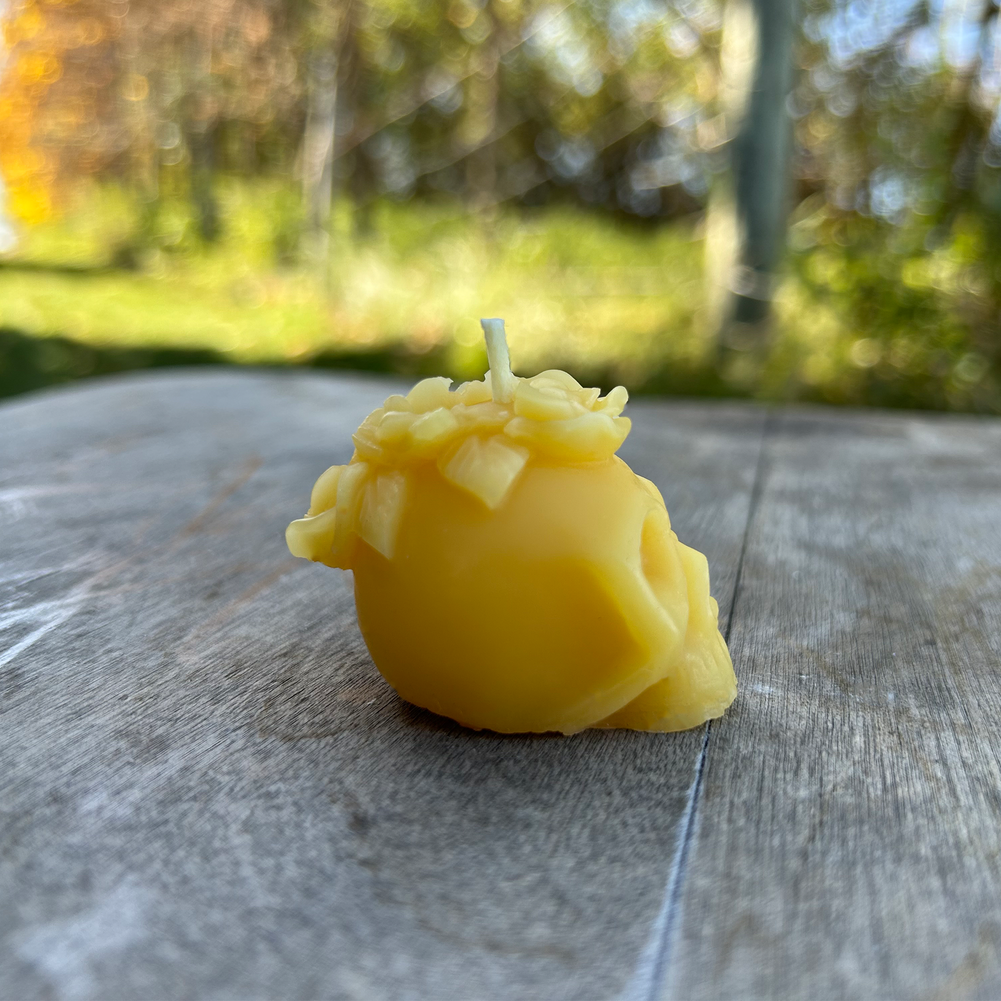 Yellow beeswax candle shaped like a skull on a wooden surface with a blurred natural background