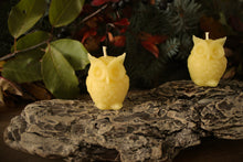 Load image into Gallery viewer, Beeswax Prairie Owl Candle
